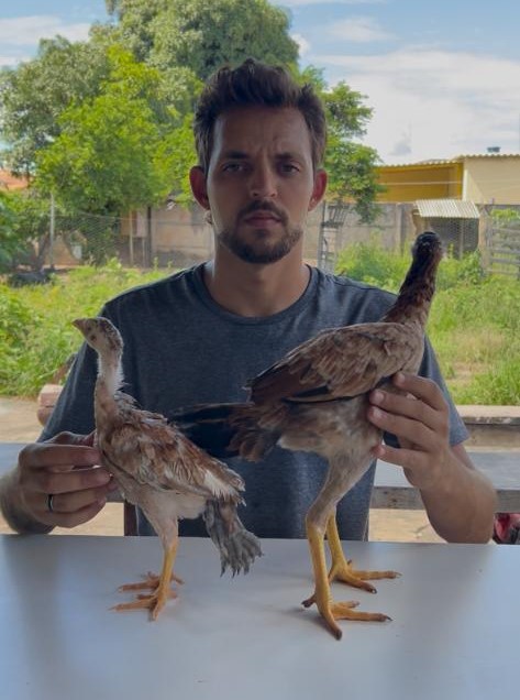 O Criador de Elite - João Paulo